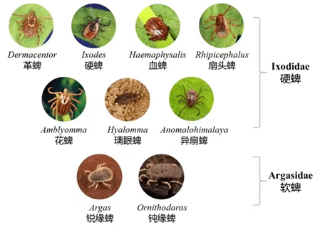0630图片1.png